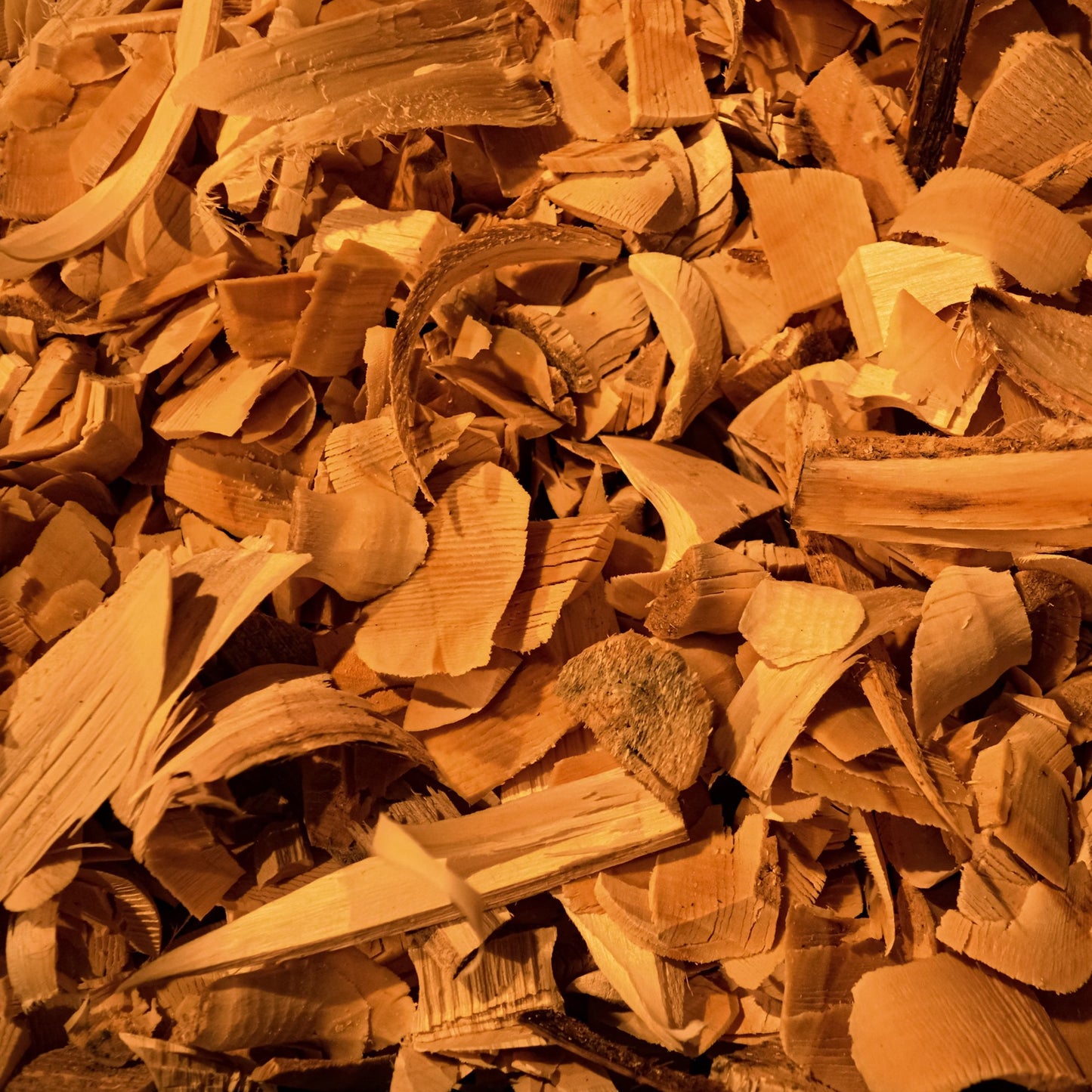 焚き火の音がするキャンドル Sandalwood 〜サンダルウッド〜